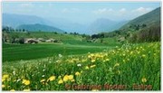 DSCN3577.jpg