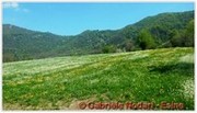 DSCN3586.jpg