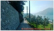 DSCN3601.jpg