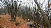 DSCN2745.jpg
