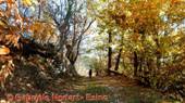 DSCN4450.jpg