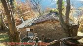 DSCN4451.jpg