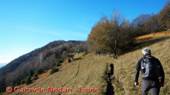 DSCN4501.jpg