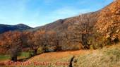DSCN4548.jpg