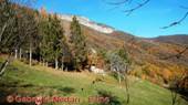 DSCN4553.jpg