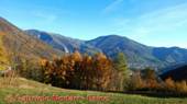 DSCN4563.jpg