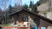 DSCN3986_SMALL.jpg