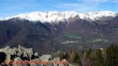 DSCN3930.jpg