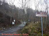 DSCN6766.jpg