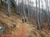 DSCN6788.jpg