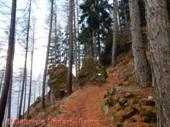 DSCN6789.jpg