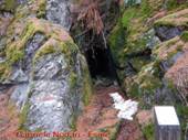 DSCN6790.jpg