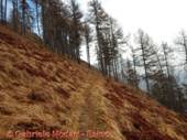 DSCN6795.jpg