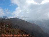 DSCN6798.jpg
