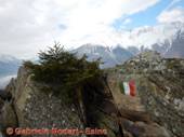 DSCN6812.jpg