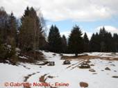 DSCN6814.jpg