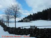 DSCN6815.jpg