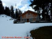DSCN6816.jpg