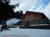 DSCN6818.jpg