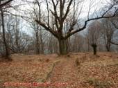 DSCN6822.jpg