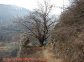 DSCN6832.jpg