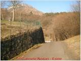 DSCN0508.jpg