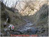 DSCN0515.jpg