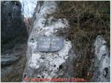 DSCN0517.jpg