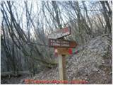 DSCN0520.jpg
