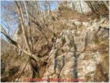 DSCN0523.jpg