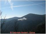 DSCN0537.jpg