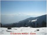 DSCN0542.jpg