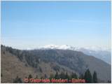 DSCN0546.jpg