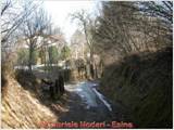 DSCN0579.jpg