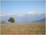 DSCN0582.jpg