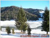 DSCN0268.jpg
