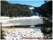 DSCN0291.jpg