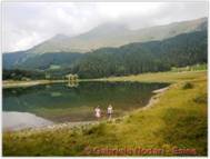 DSCN0437.jpg