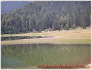 DSCN0439.jpg