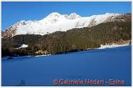 DSCN1168.jpg