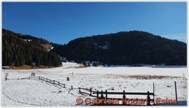 DSCN1278.jpg