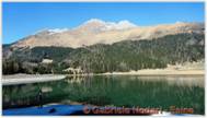 DSCN5498.jpg
