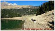 DSCN5507.jpg