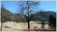 DSCN5548.jpg