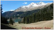 DSCN6069.jpg