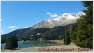 DSCN6072.jpg