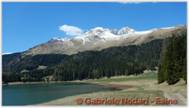 DSCN6077.jpg