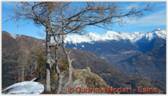 DSCN1460.jpg