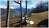 DSCN1467.jpg