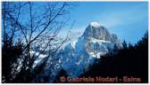 DSCN1473.jpg